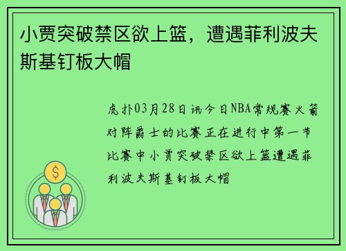小贾突破禁区欲上篮，遭遇菲利波夫斯基钉板大帽